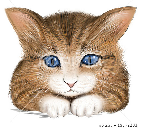 トラ猫の子猫のイラストのイラスト素材