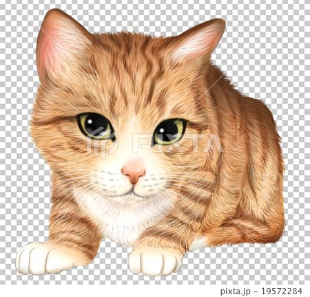 トラ猫イラストのキャットフード トラ猫イラストのキャットフード 猫の全体像伸びするキジトラ猫