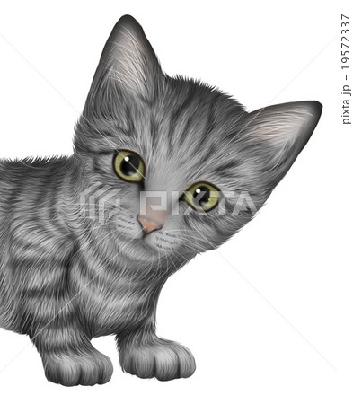 トラ猫の子猫のイラスト 上半身のイラスト素材