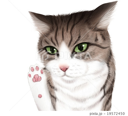 トラ猫のイラスト 上半身のイラスト素材