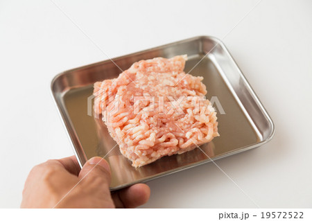 鳥の挽き肉 19572522