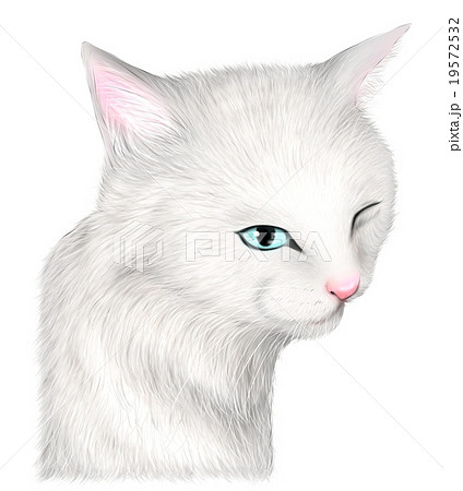 リアルな白猫のイラストのイラスト素材