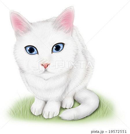 リアルな白猫のイラストのイラスト素材