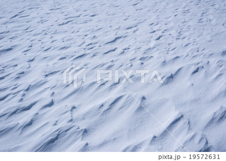 雪原 雪原 19572631