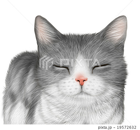 リアルなハチワレ猫 白黒猫 のイラスト 上半身のイラスト素材