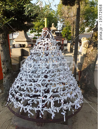 ツリー形のおみくじ結び 19572668