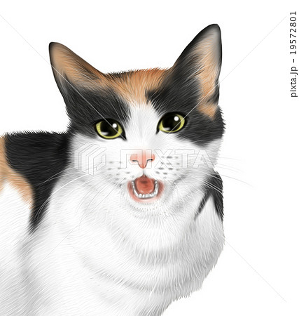 Realistic Mikuri Cat Illustration Stock Illustration