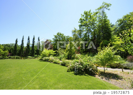 庭園 19572875
