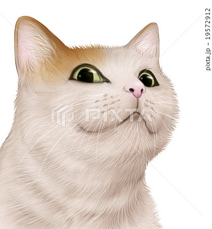 リアルな茶白猫のイラスト ドヤ顔のイラスト素材