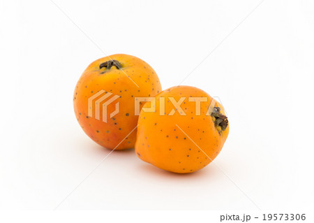 テホコテ: tejocote (Crataegus mexicana) 19573306