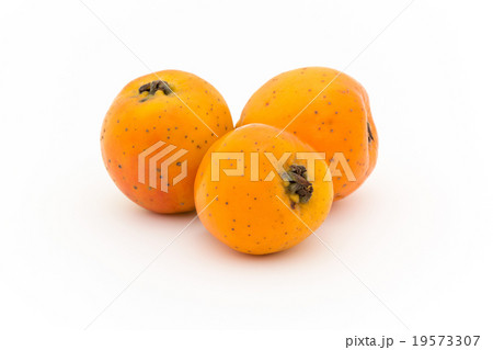 テホコテ: tejocote (Crataegus mexicana) 19573307