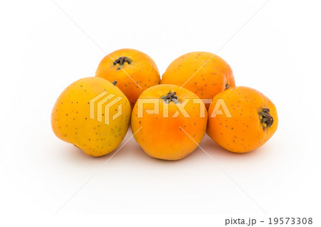 テホコテ: tejocote (Crataegus mexicana) 19573308