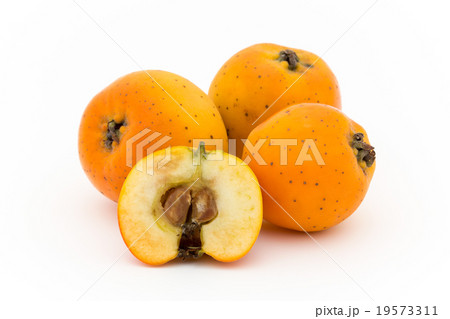 テホコテ: tejocote (Crataegus mexicana) 19573311