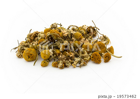 カモミール:Chamomile カモミール:Chamomile 19573462