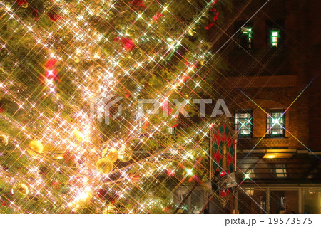 クリスマスツリー 19573575