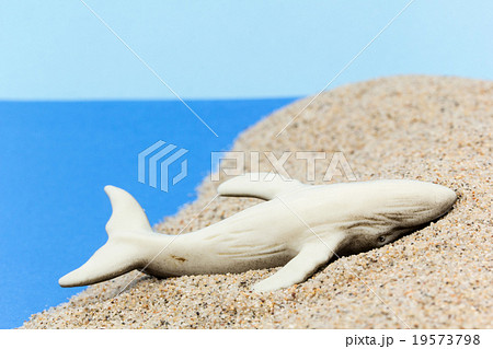 浜に打ち上げたクジラ: Beached Humpback Whaleの写真素材 [19573798] - PIXTA