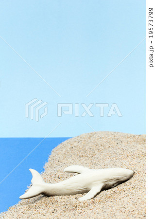 座礁鯨: Beached Whale 19573799