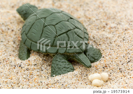 ウミガメの産卵：Sea Turtle laying eggs 19573914