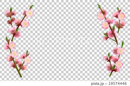 桃の花 フレームのイラスト素材