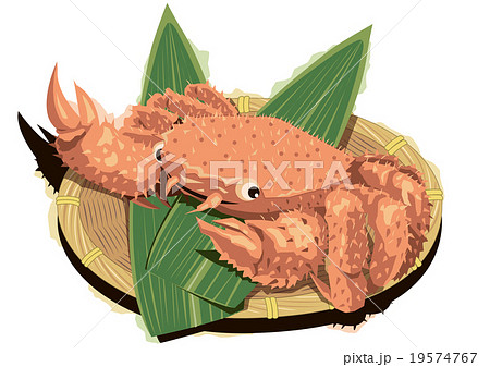 毛ガニのイラスト素材 毛ガニのイラスト素材