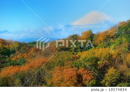 紅葉と霊峰富士 19574834