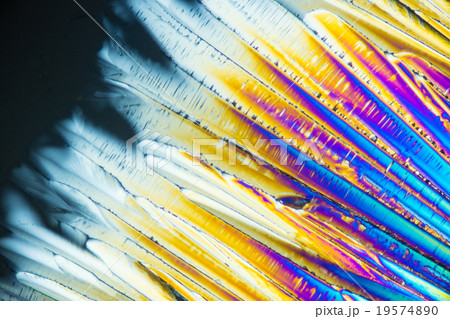 クエン酸の結晶 クエン酸の結晶 19574890