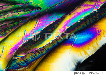 クエン酸の結晶 クエン酸の結晶 19576203