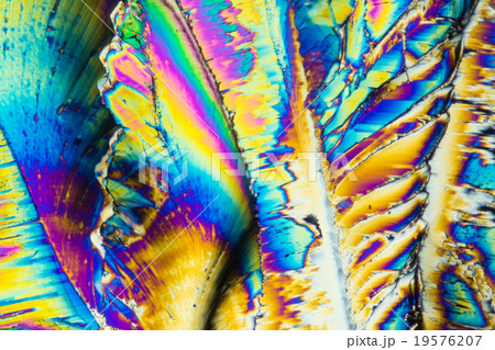 クエン酸の結晶 クエン酸の結晶 19576207