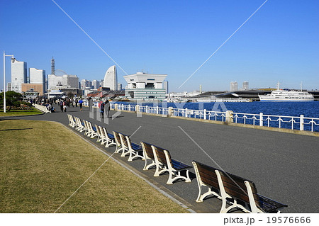 12月都市の風景946山下公園 19576666