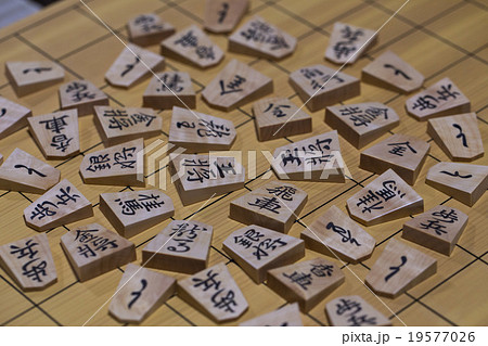将棋 19577026