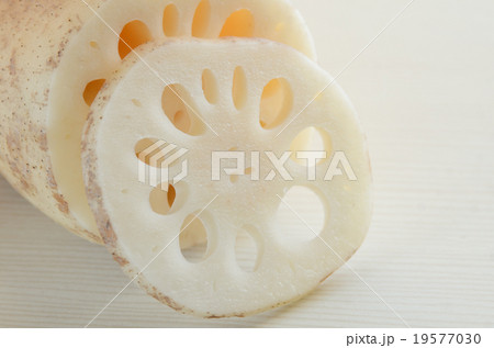蓮根 19577030