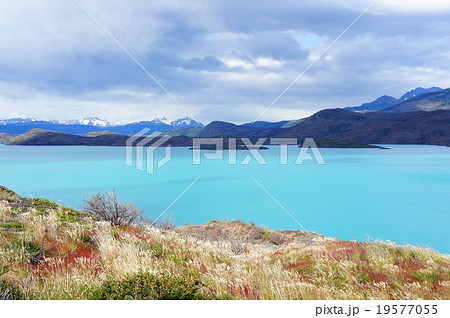 パイネ国立公園 パイネ国立公園 19577055