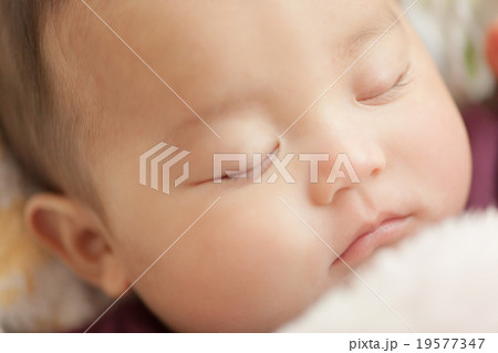 5 months old 5 months old 19577347