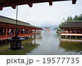 厳島神社 19577735