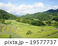 千枚田 19577737