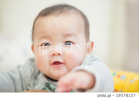 5 months old 5 months old 19578157