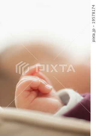 5 months old 19578174