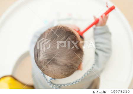 5 months old 5 months old 19578210