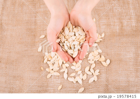 Human hands filled with pumpkin seeds.  19578415