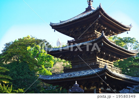 四国霊場 石手寺 四国霊場 石手寺 19580349