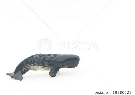 おもちゃのマッコウクジラ Toy Sperm Whaleの写真素材