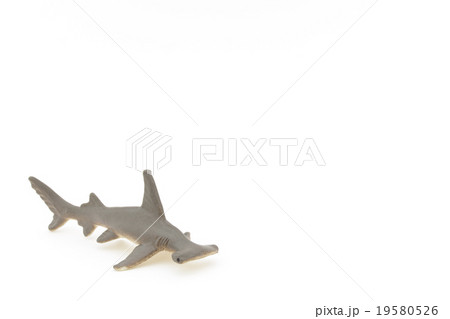 オモチャのシュモクザメ: Toy Hammerhead Shark 19580526