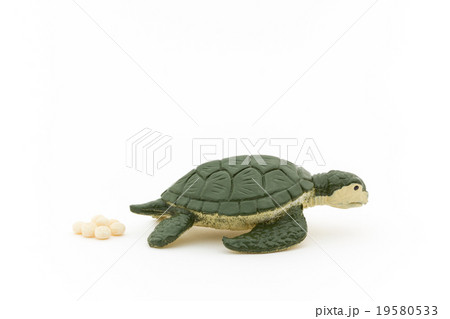 ウミガメの産卵 Toy Sea Turtle Laying Eggsの写真素材