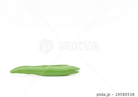 おもちゃのウツボ: Toy Posable Moray Eel 19580538