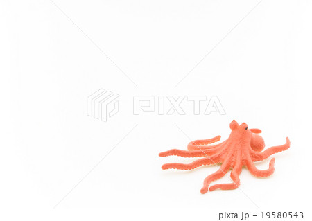 おもちゃのタコ: Toy Octopus 19580543