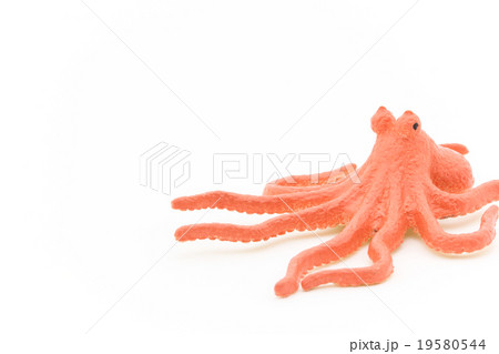 おもちゃのタコ: Toy Octopus おもちゃのタコ: Toy Octopus 19580544