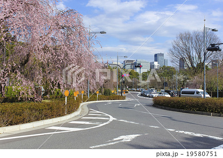 東京の街並み 枝垂桜 北の丸公園そば 東京の街並み 枝垂桜 北の丸公園そば 19580751