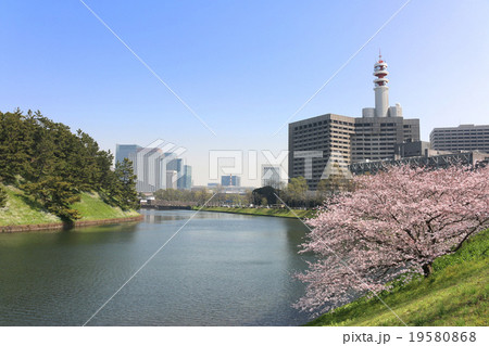 春の桜田濠 春の桜田濠 19580868