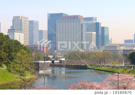 春の桜田濠 19580870