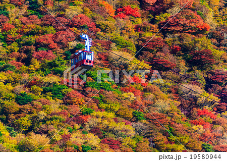 仁田峠の紅葉とロープウェイの写真素材